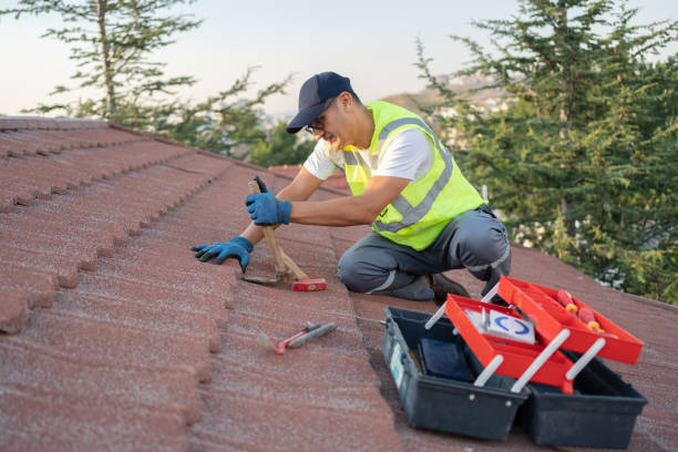 Best Metal Roofing Contractor  in Waskom, TX